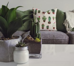 motyw botaniczny