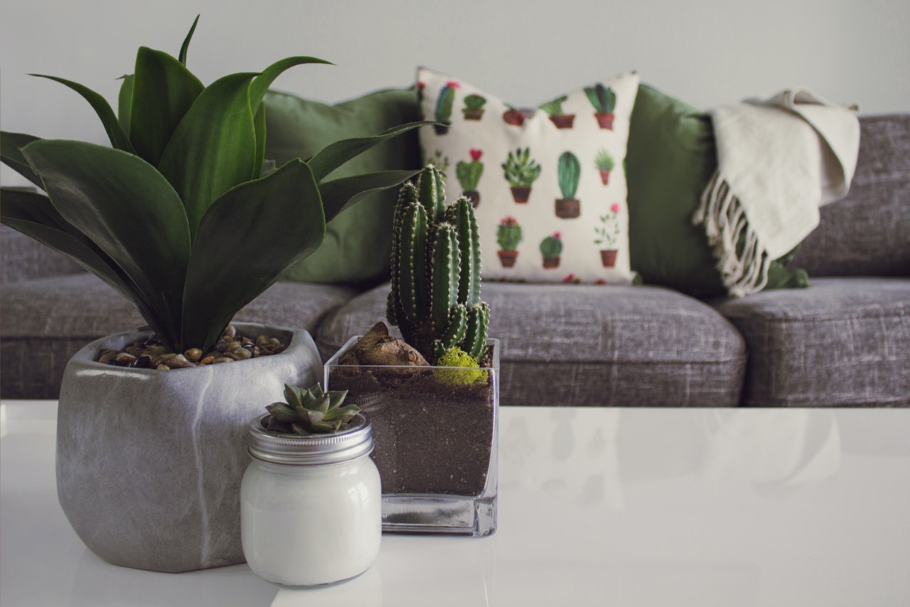 Living room arrangements with a botanical theme
